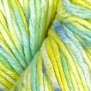 BC008 Mint - Yellow