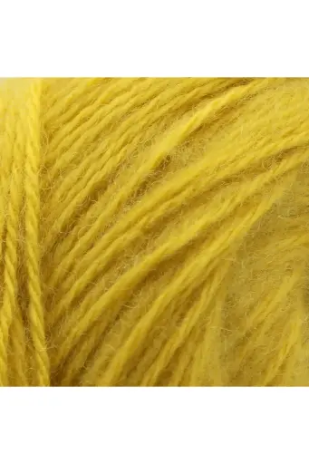 72191 SARI 