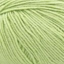 024 Light Green